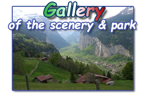 gallery scenery